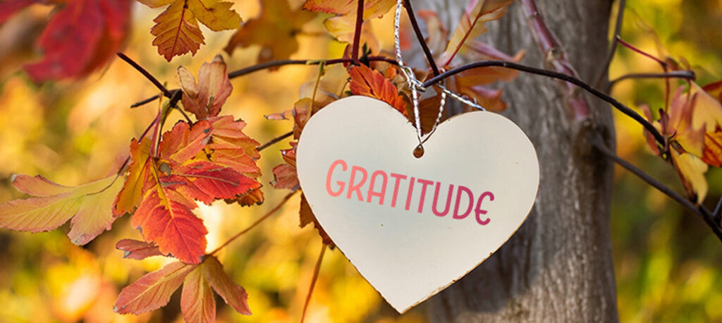 cultivating gratitude